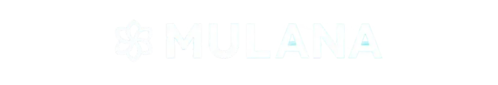 Michael Egorov (Curve Finance)